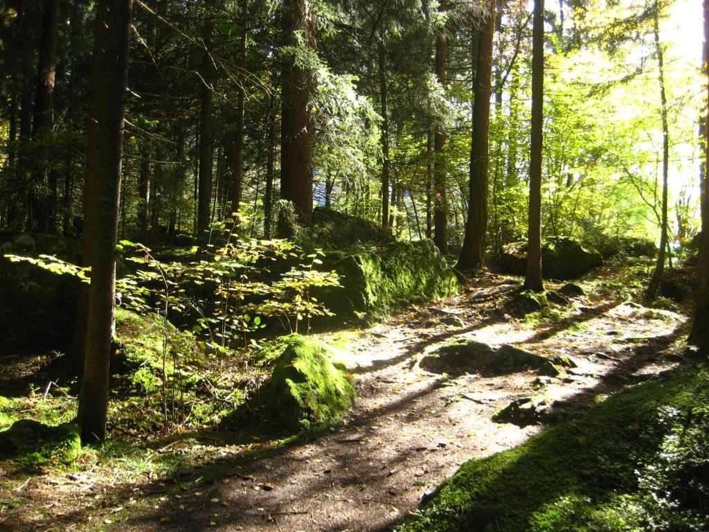 Готель Haus Tirolerland Ец Екстер'єр фото