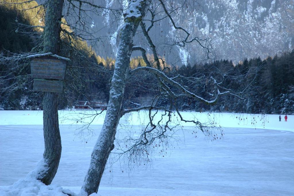 Готель Haus Tirolerland Ец Номер фото